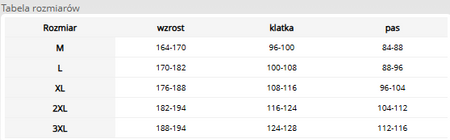 Bluza robocza z kapturem ostrzegawcza męska L.HOLLMAN RAUT