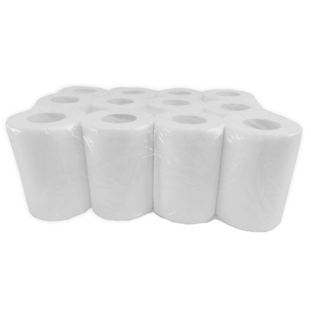 Ręcznik papierowy MINI Plus 50 celuloza 2 warstwowy - 12 ROLEK