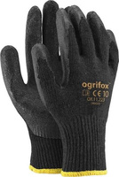 OX-DRAGOS BB