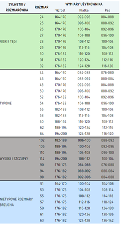 Spodnie robocze do pasa BRIXTON PRACTICAL stalowe
